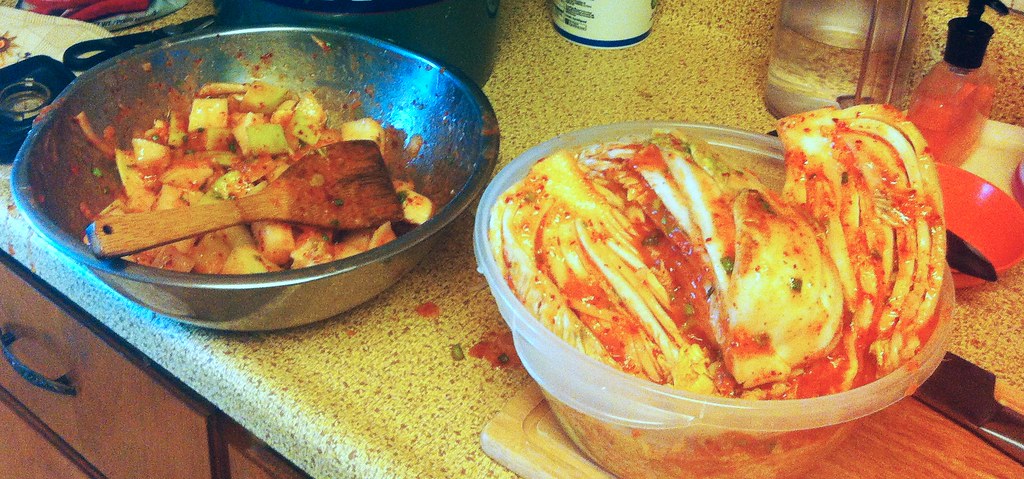 온터바이오 유산균 종류 비교